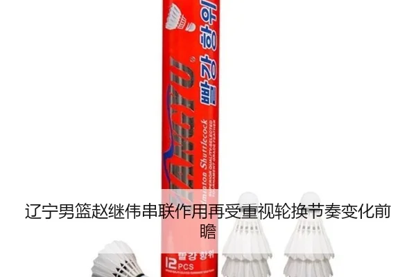 辽宁男篮赵继伟串联作用再受重视轮换节奏变化前瞻